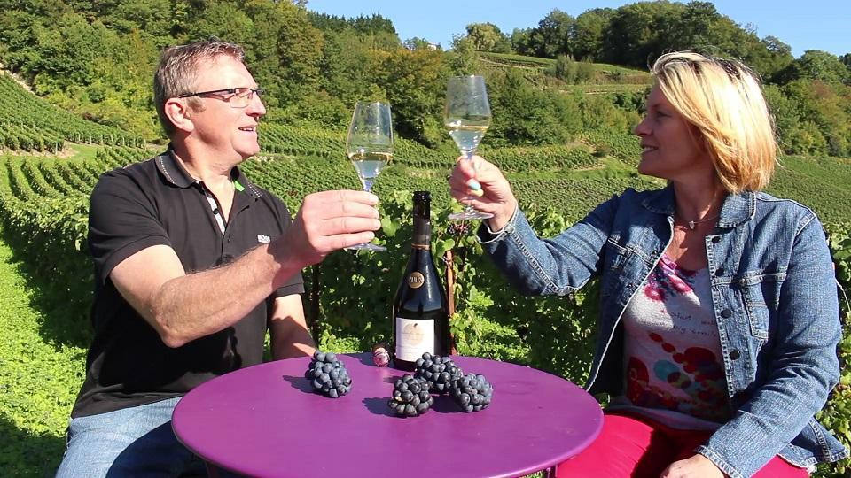 La Boulonne Villa Festigny  Eksteriør billede
